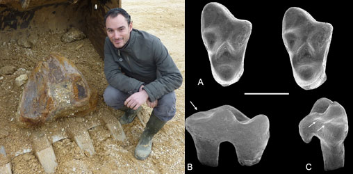 Romain Vullo pour la découverte du plus vieux marsupial d’Europe à Archingeay
