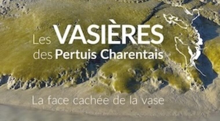 Thérèse Rautureau, dessinatrice, pour son livre « Île d’Aix – Les vasières des pertuis charentais »