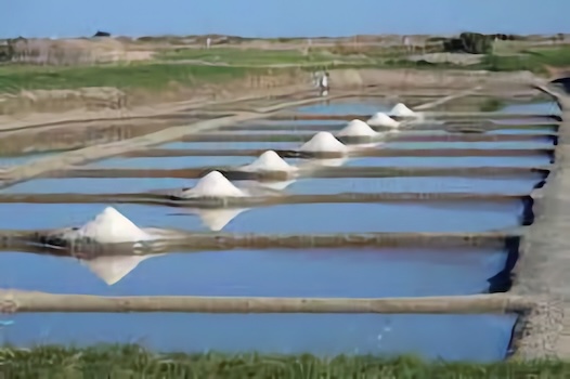 Alain Champagne et Éric Normand, pour « De l’eau, du sel et des hommes »